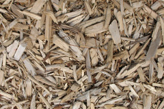 biomass boilers Chardstock